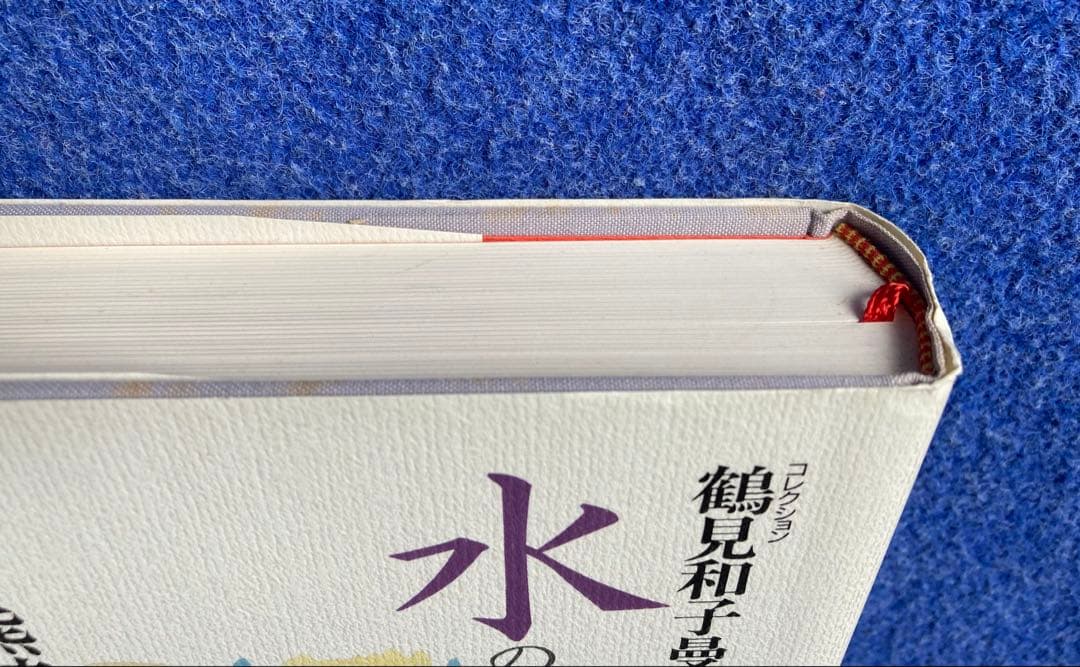 鶴見和子曼荼羅Ⅴ 水の巻　南方熊楠のコスモロジー