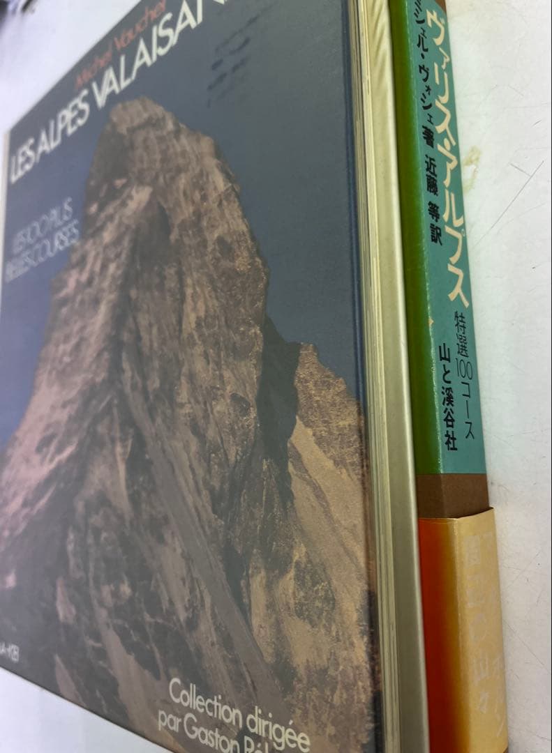 ヴァリス・アルプス 特選100コース