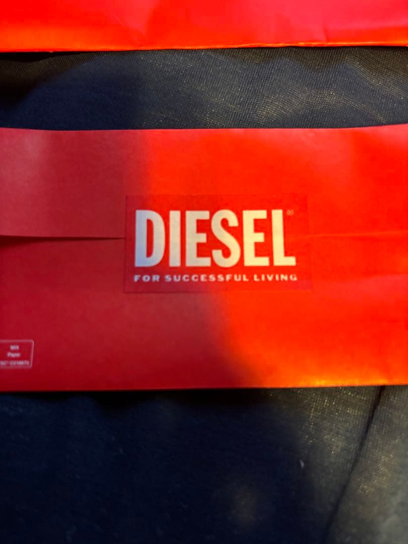 【美品】DIESEL Dx1342 ネックレス
