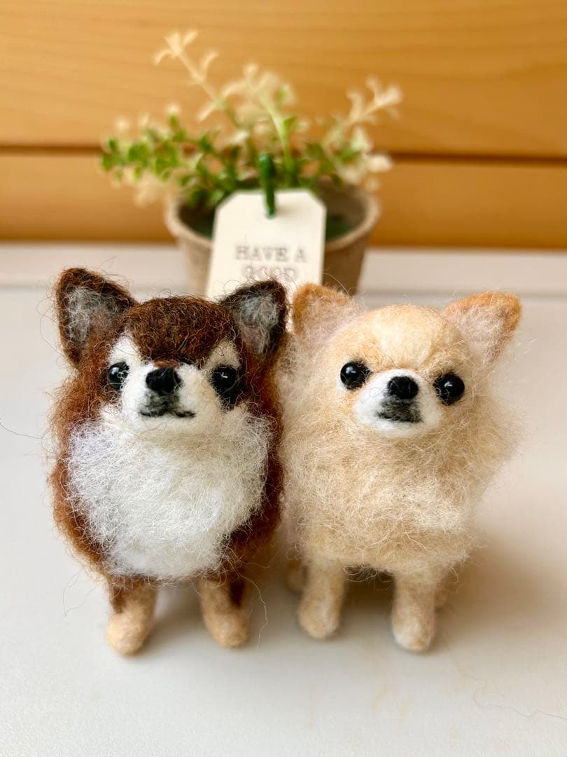 みー♪チワワちゃん 犬 羊毛フェルト ハンドメイド