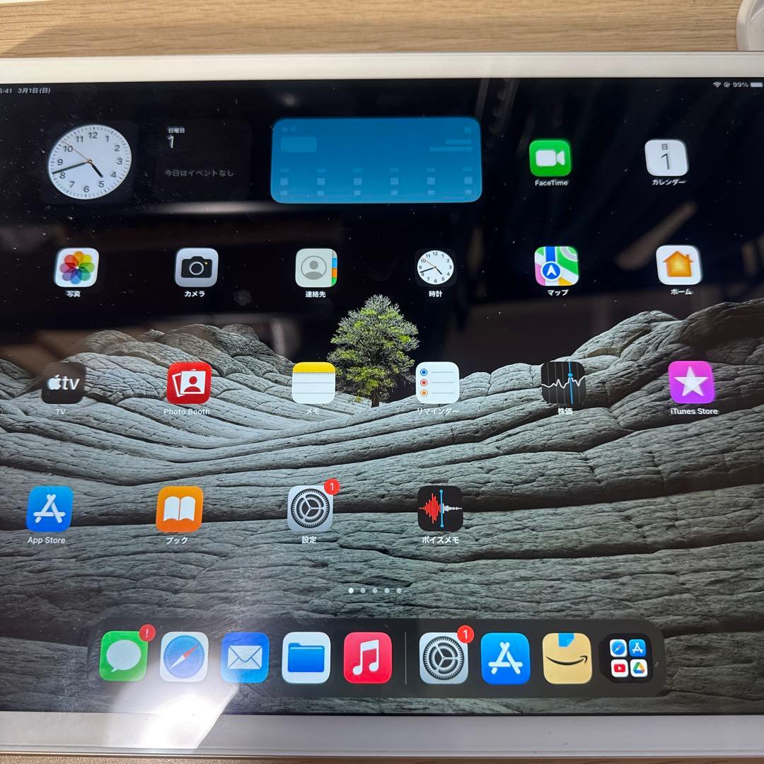 r*s様 ipad pro 初代 12.9 a1652 綺麗です。