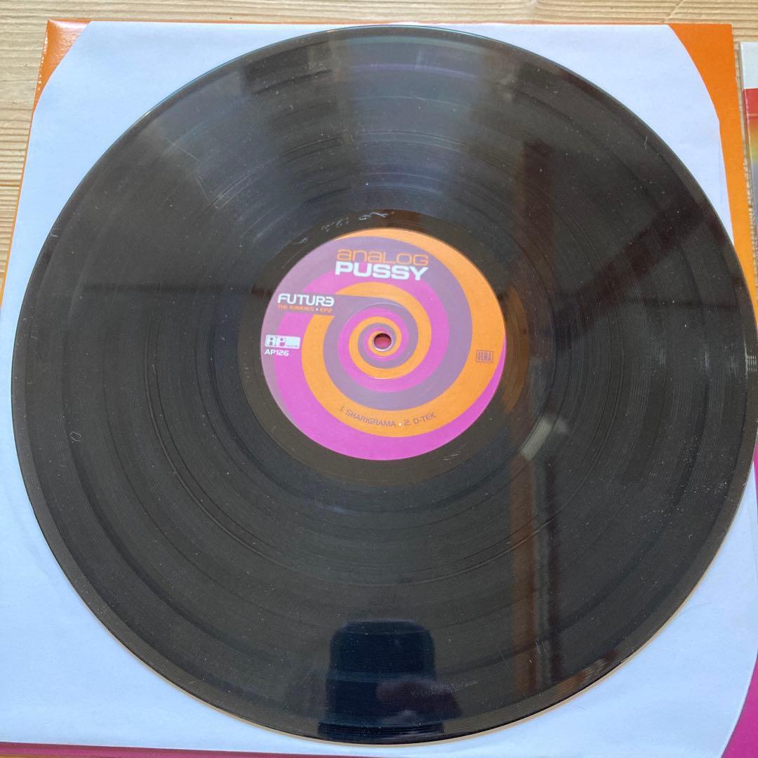 2004 ‎ Analog Pussy 2枚セット DEEP PURPLEネタ