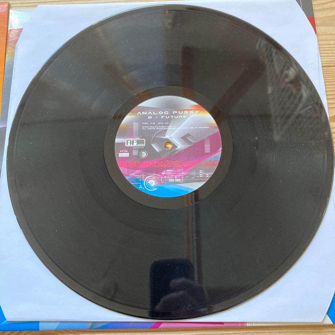 2004 ‎ Analog Pussy 2枚セット DEEP PURPLEネタ