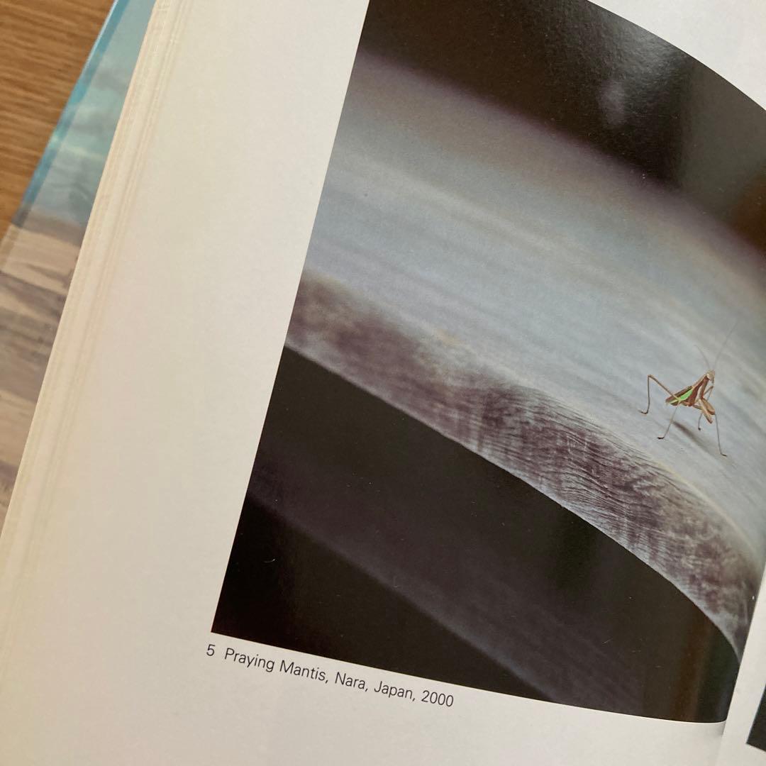 アート・デザイン・音楽 Wim Wenders/Pictures from the Surface of