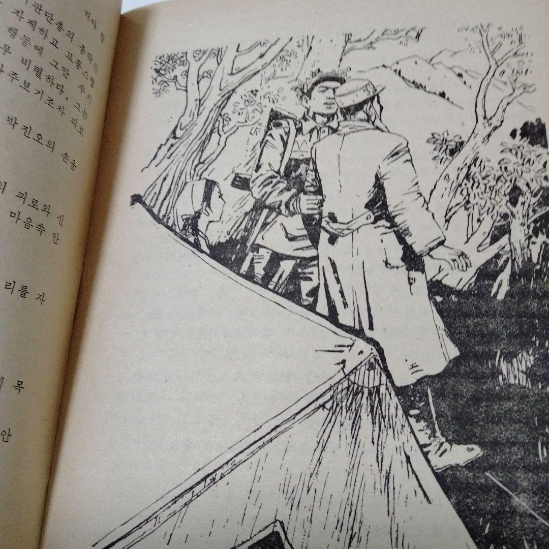 生の流れ リ・シンヒョン　長篇小説 1991 ハングル　朝鮮文学　韓流
