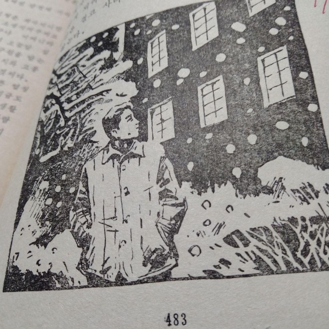 生の流れ リ・シンヒョン　長篇小説 1991 ハングル　朝鮮文学　韓流