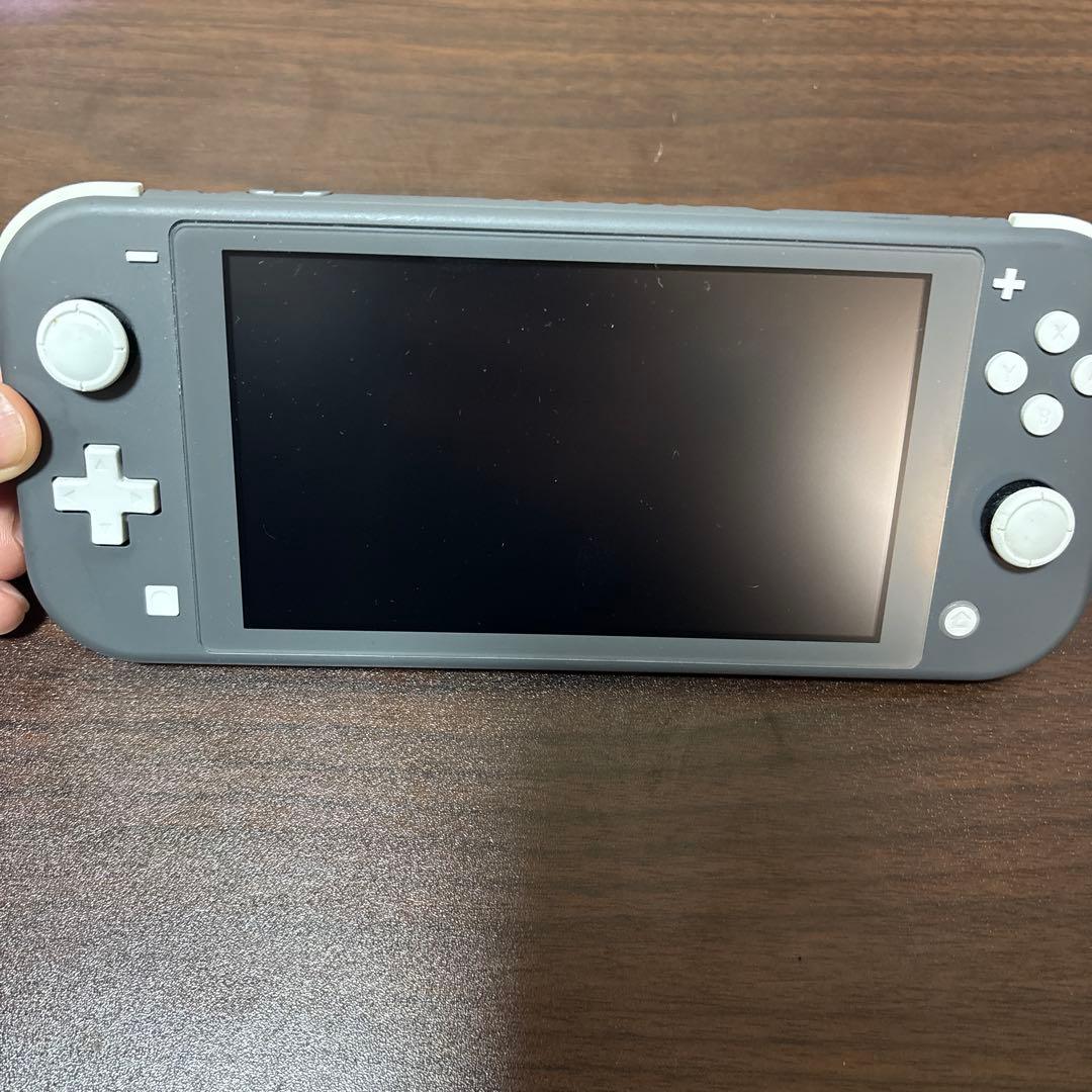 Nintendo Switch Lite グレー　箱・ハードケース付