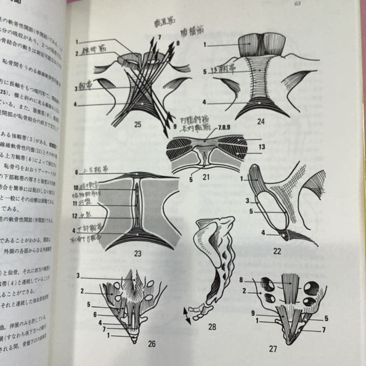 関節の生理学 1〜3(上肢、下肢、体幹・脊柱)3冊セット