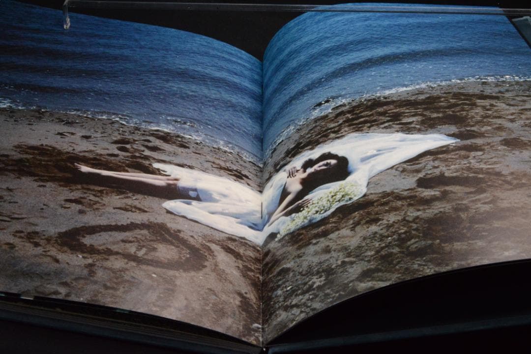 Blue Mud Swamp：Filipe Casaca　★大幅に値下げしました