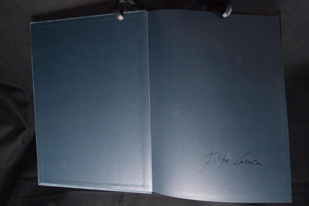 Blue Mud Swamp：Filipe Casaca　★大幅に値下げしました