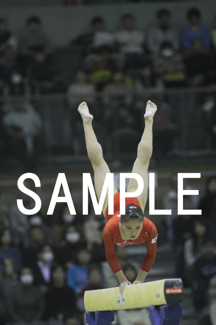2016年豊田国際体操 日本女子選手画像集　約3,000枚
