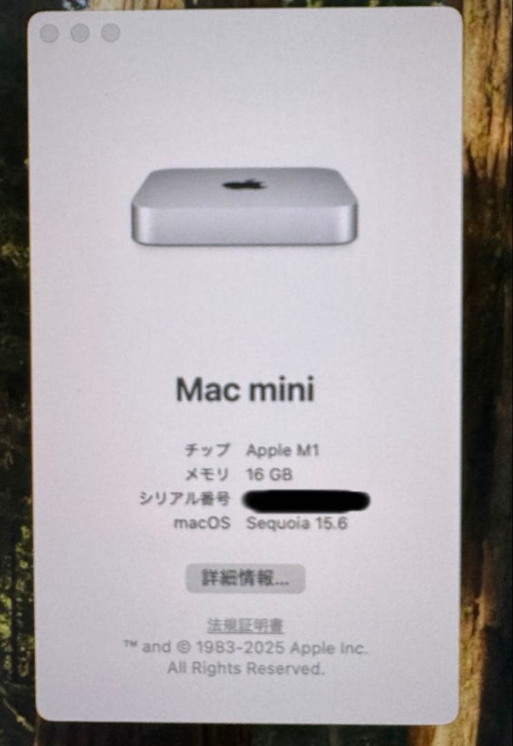 M1 Mac mini （1TB,16GB）