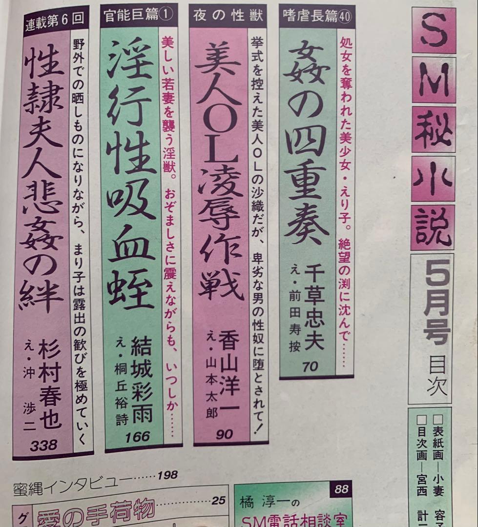 SM秘小説2冊セット