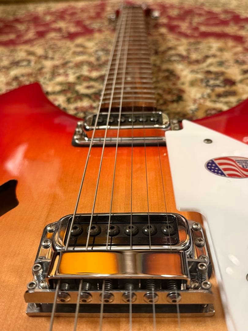 Rickenbacker Model330Fg 2023年製