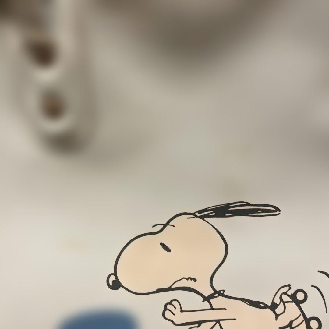 スヌーピー SNOOPY エナメル ボストンバッグ vintage １９７６年製