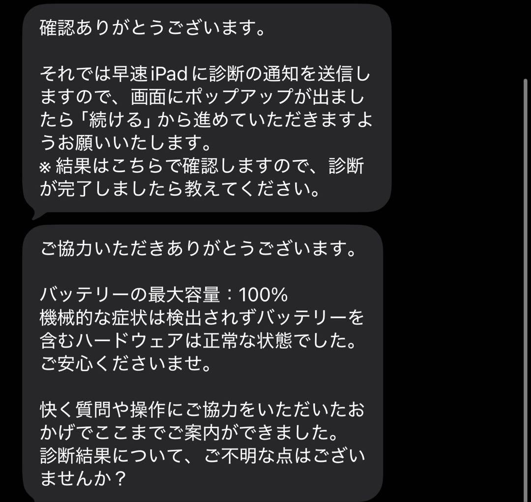 保証8月まであり！バッテリー100%11インチiPad Pro Wi-Fi
