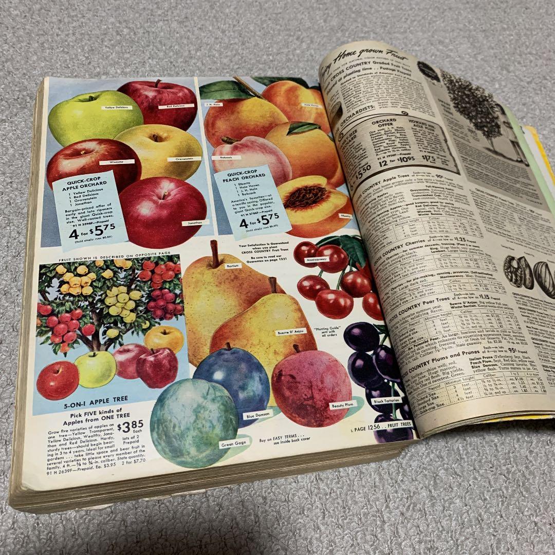 洋書 SEARS CELEBRATES ITS 25th Anniversary