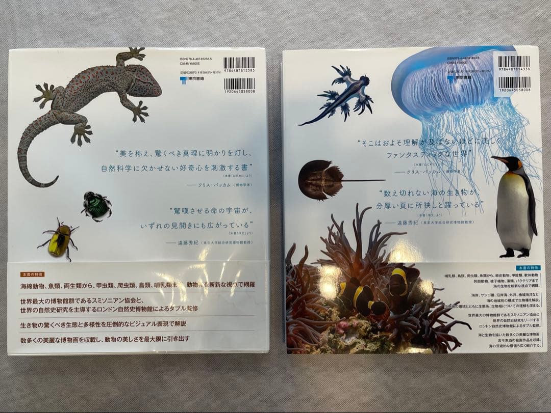 ZOOLOGY 動物の世界 & OCEAN LIFE 海の世界　図鑑2冊セット