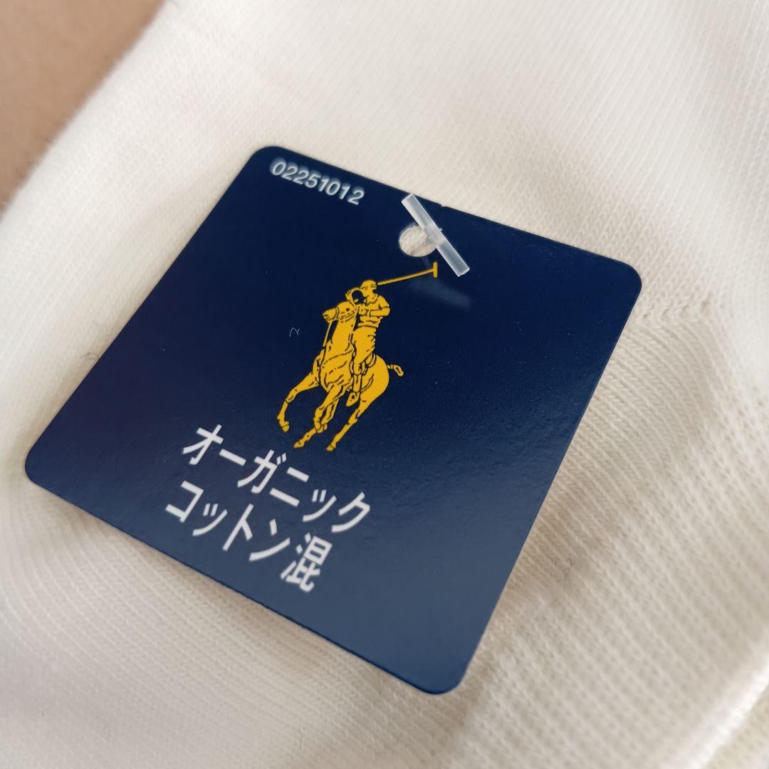 POLORALPHLAUREN ポロラルフローレン ポロベア ソックス 六足