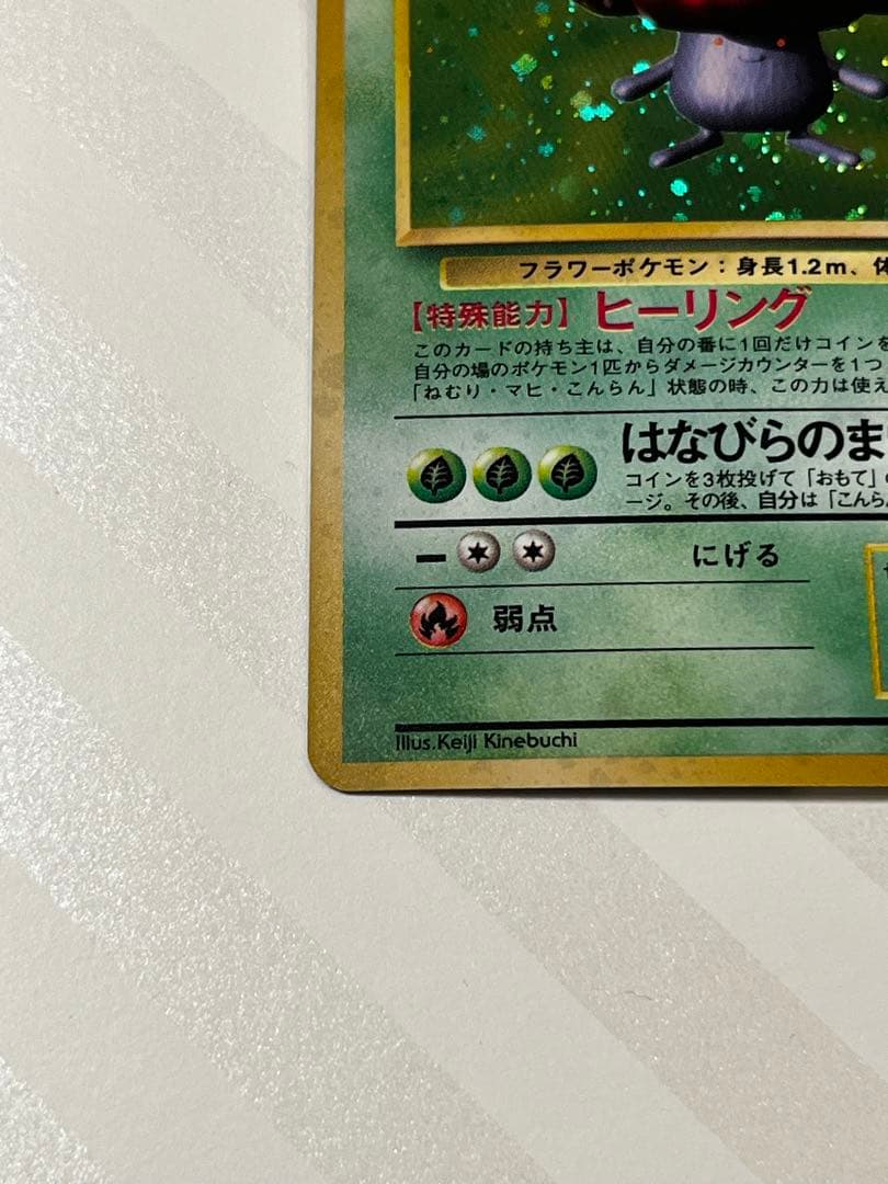 【旧裏】美品ラフレシア　早い者勝ち