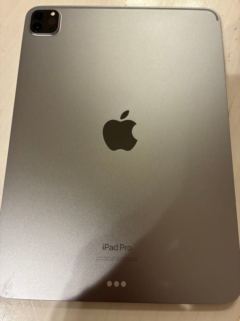 加*す様 第4世代Apple iPad Pro11インチ シルバー 本体