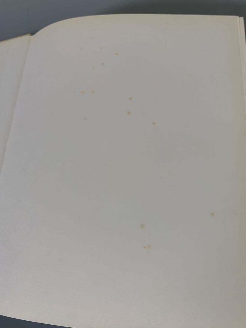 モジリアーニ画集2冊組　洋書