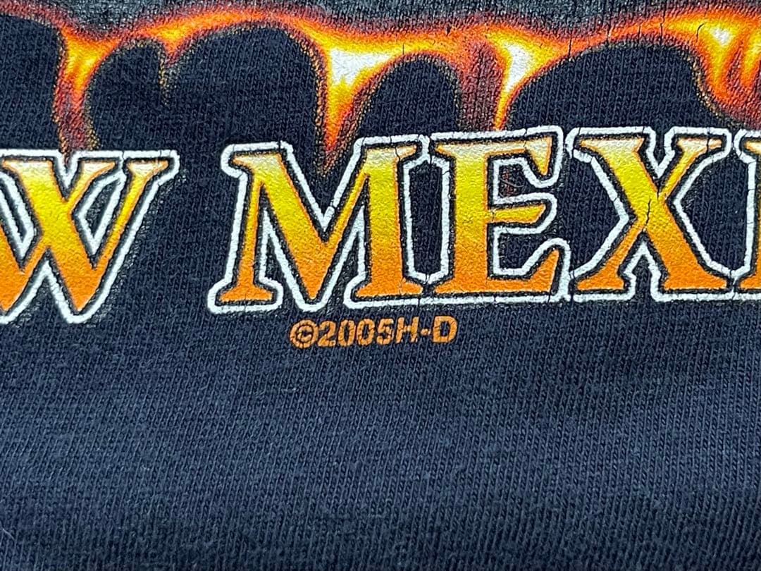 T*A様 Harley-Davidson Flame Wolf 00s Tシャツ