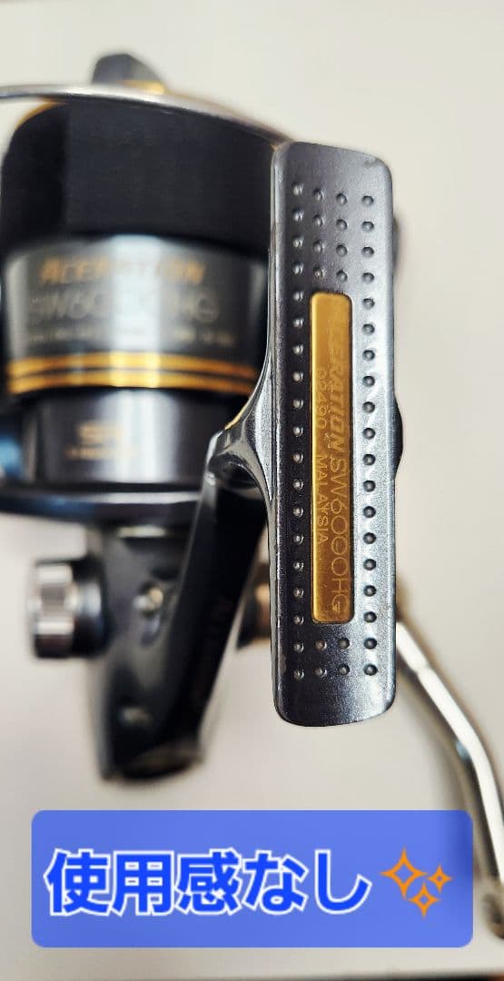 超美品　SHIMANO　ACERATION SW6000HG 8000番セット