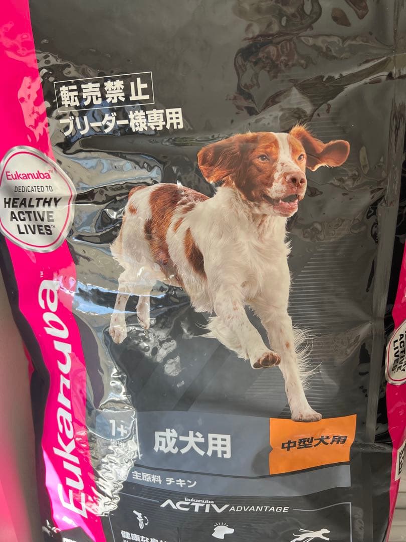 Eukanuba ミディアム アダルト 15kg