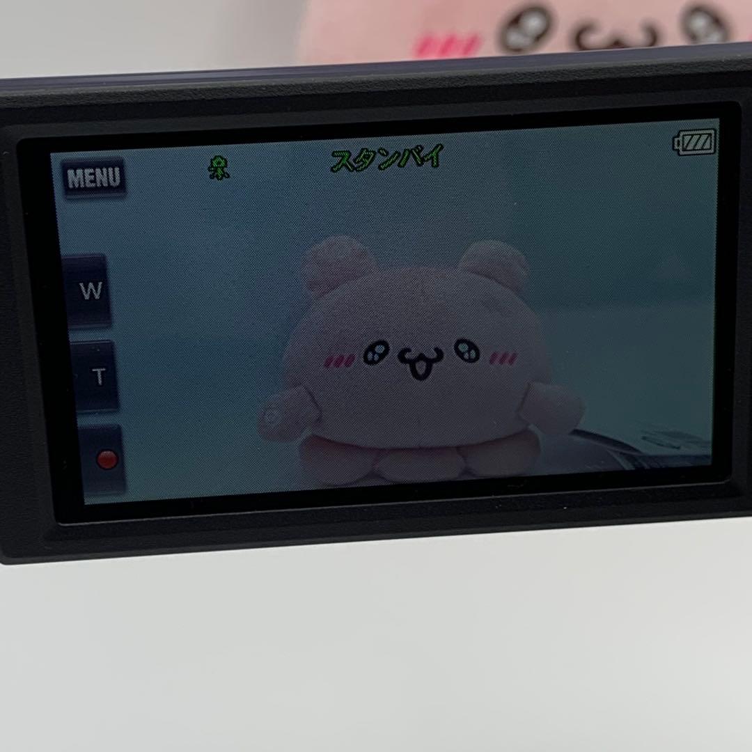 SONY フルHD ビデオカメラ 美品　ネイビー 長時間記録 バッテリー2個