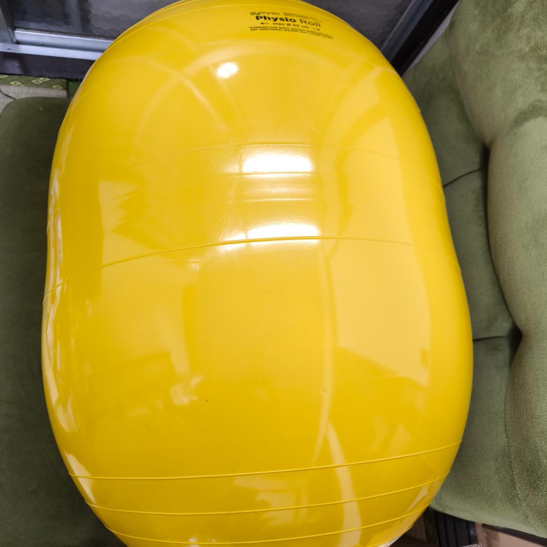 Gymnic ギムニク バランスボール フィジオロール 55cm ピーナッツ型