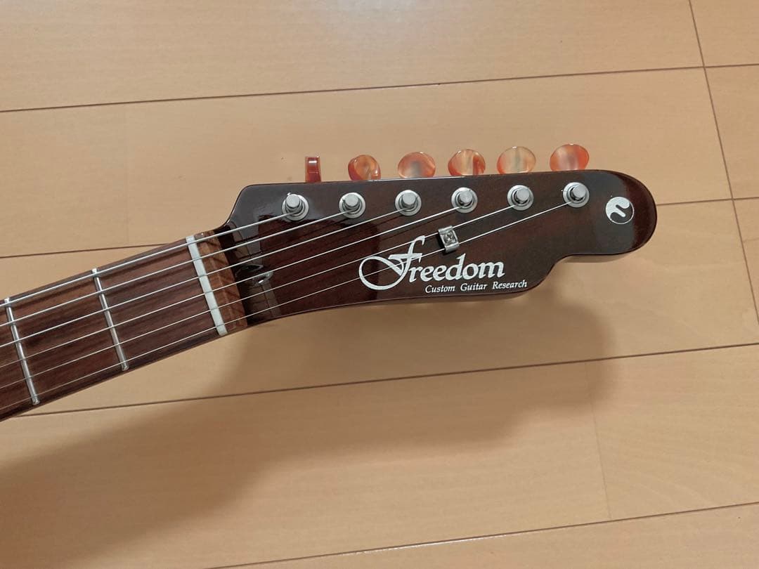 ギター FreedomCustomGuitarResearch BrownPepper