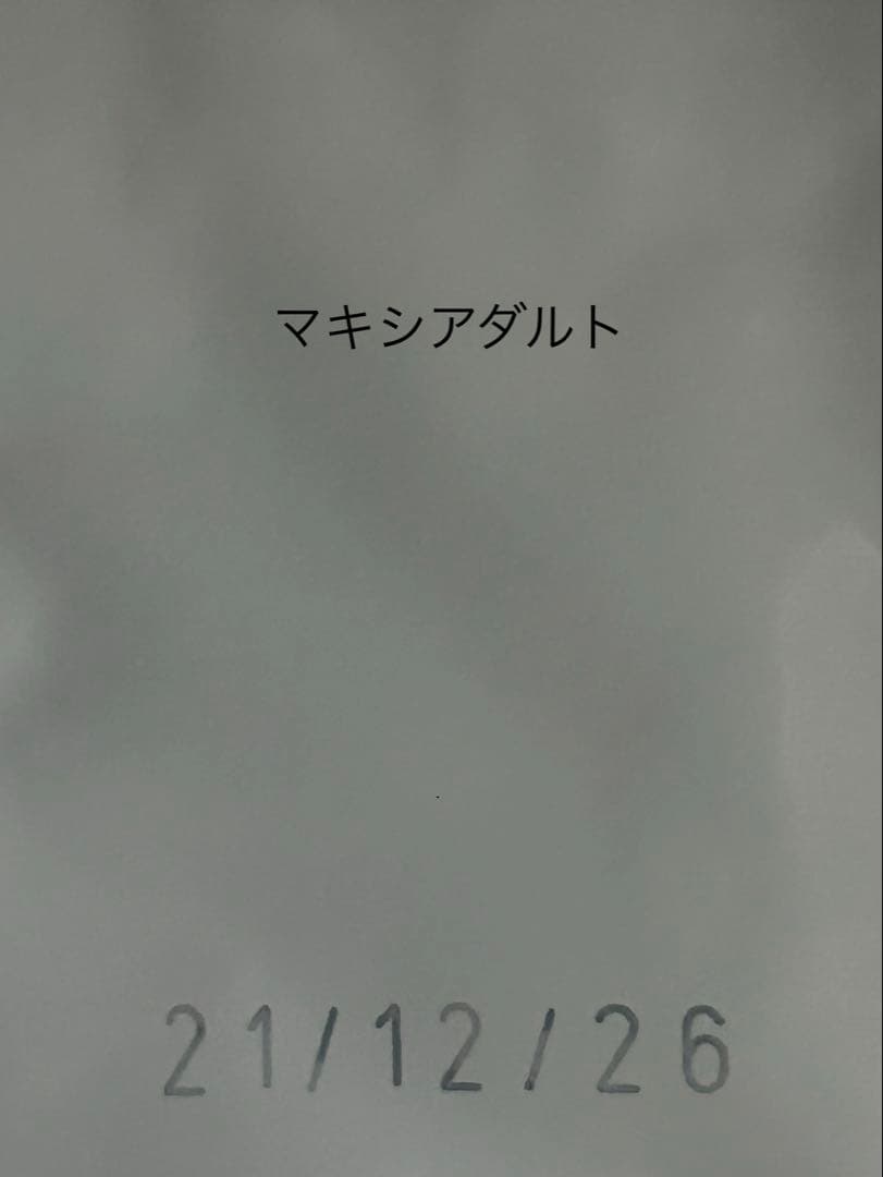 ロイヤルカナン　マキシアダルト16kg⭐️平日発送⭐️