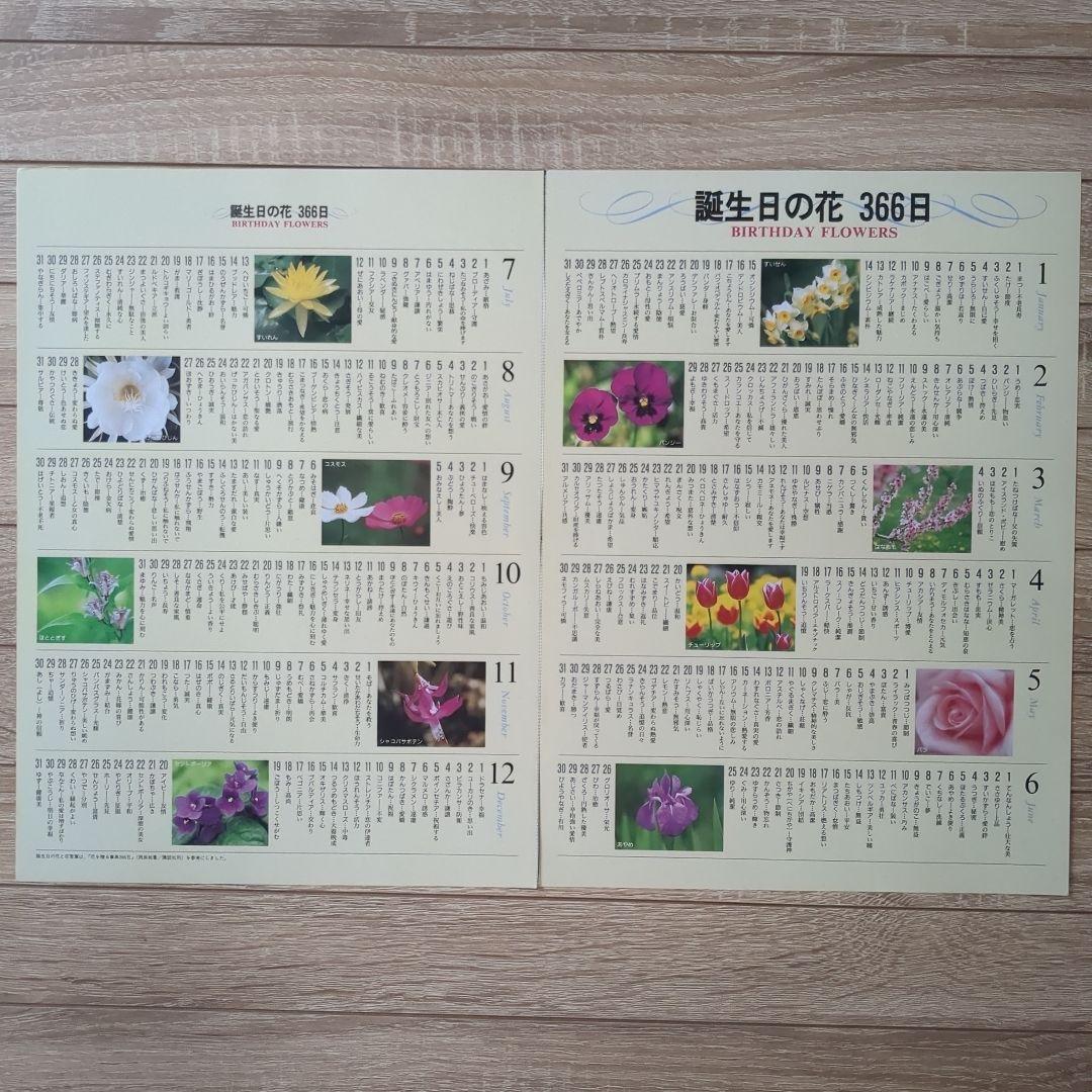 【美品】週刊花百科 Fleur（フルール） 雑誌 全100冊セット