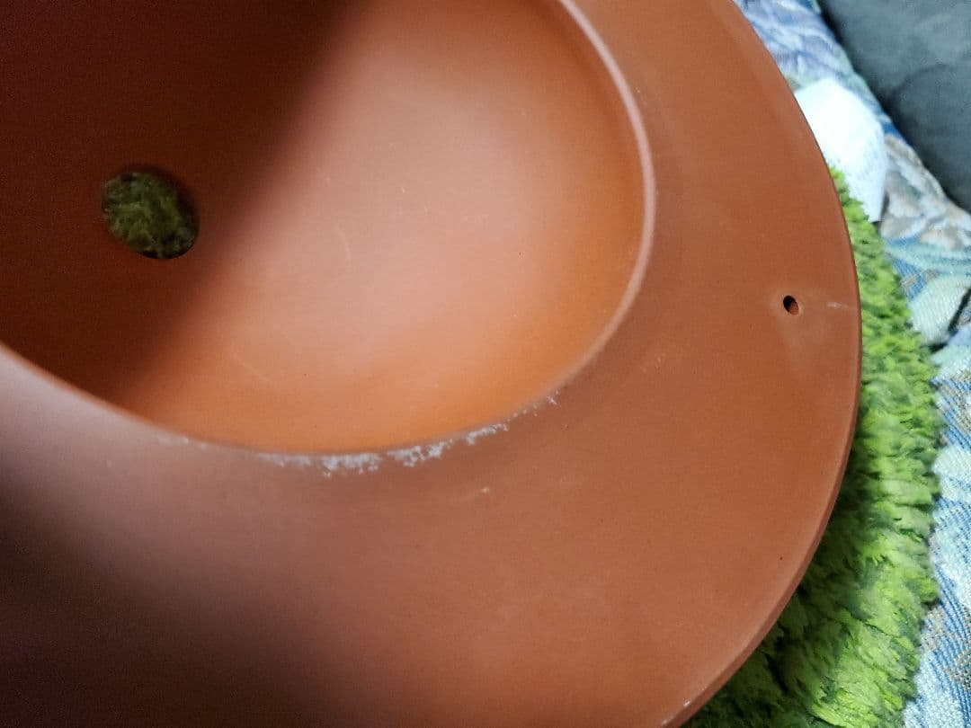 いざわせいとう UFO POT 3.5 テラコッタ