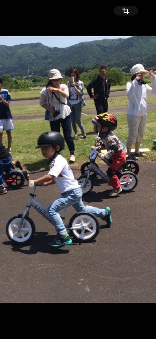 (≧∀≦)さん専用　小改造ストライダーPro 車体&木製スタンド付