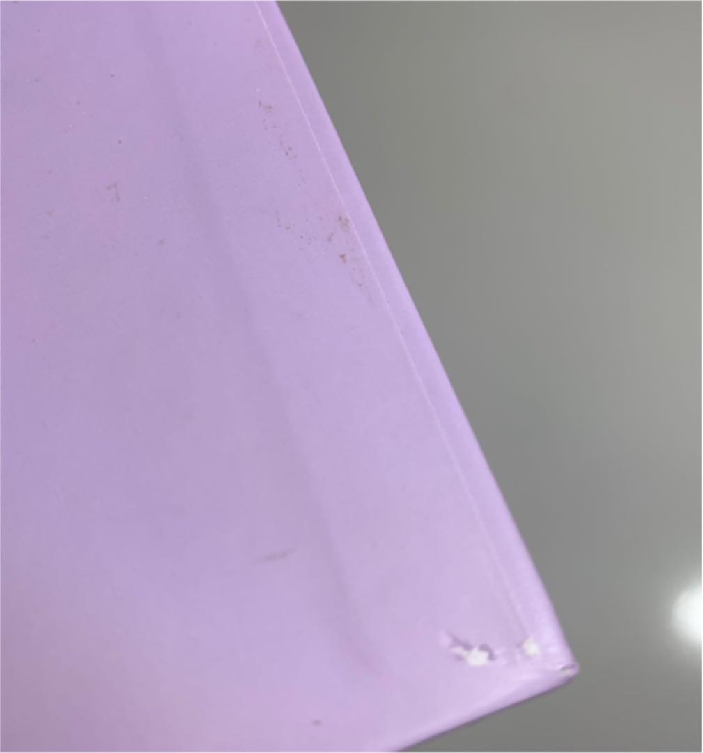 IU OFFICIAL LIGHT STICK ver2 ペンライト アイク