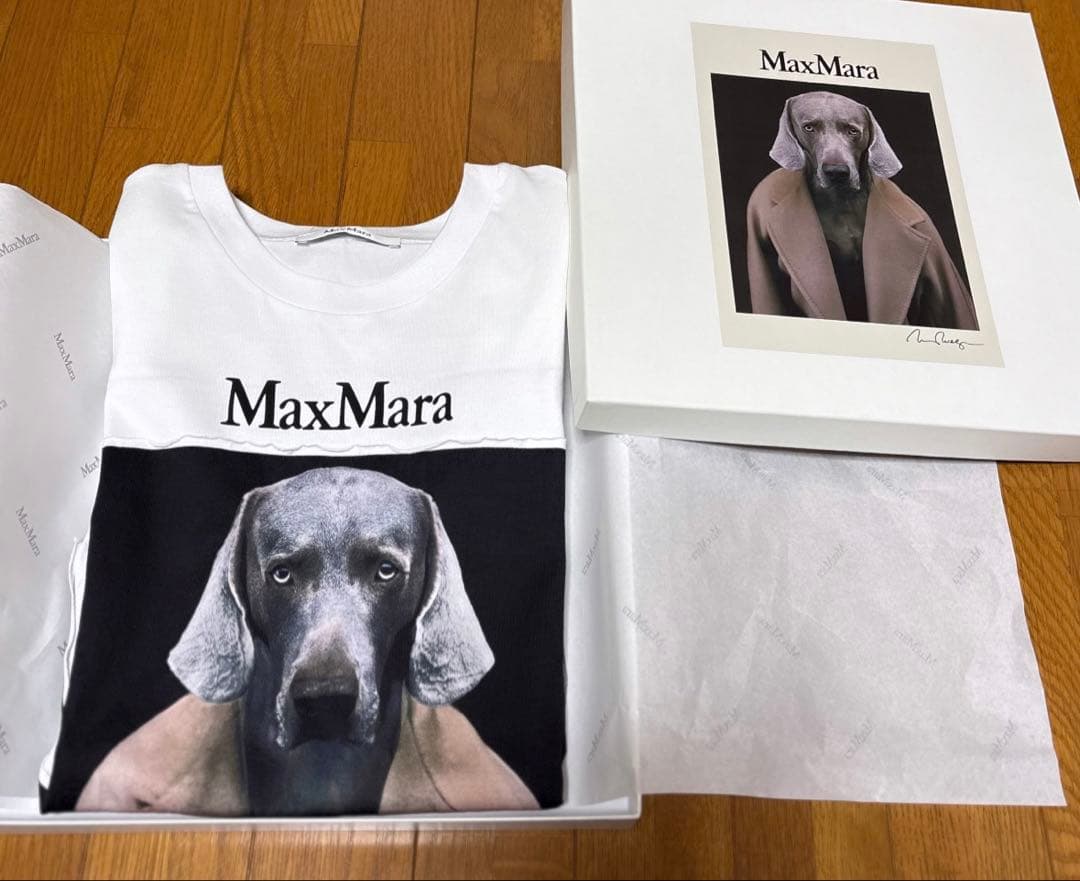 MAX MARA マックスマーラ Tシャツ CIPRIA チプリア