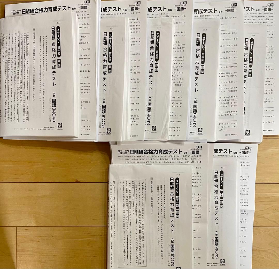 日能研／6年生／育成テスト・春夏・合格力【M難関】ステージⅣ Ⅴ／1年間35回分