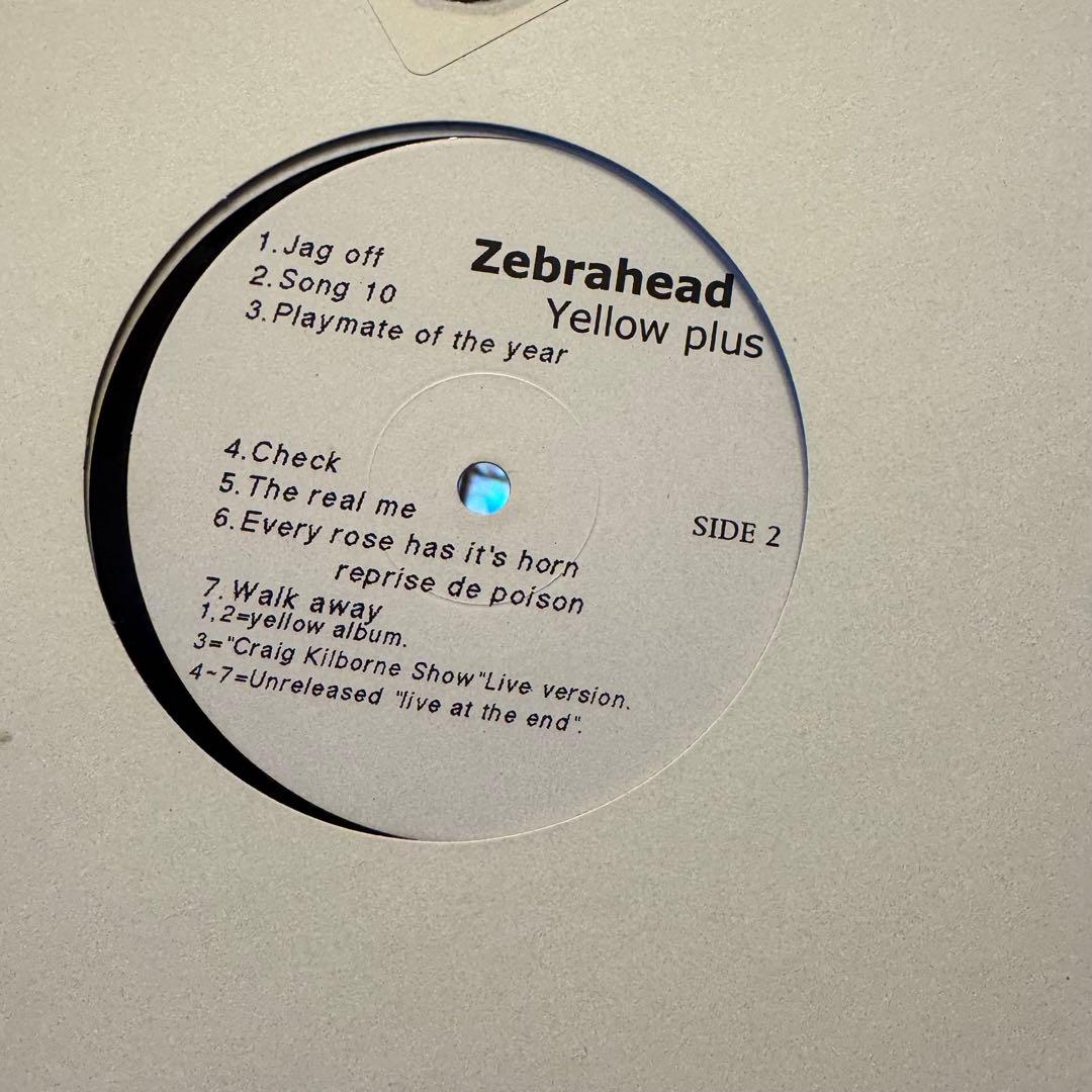Zebrahead Yellow Plus 限定プロモ盤 レコード