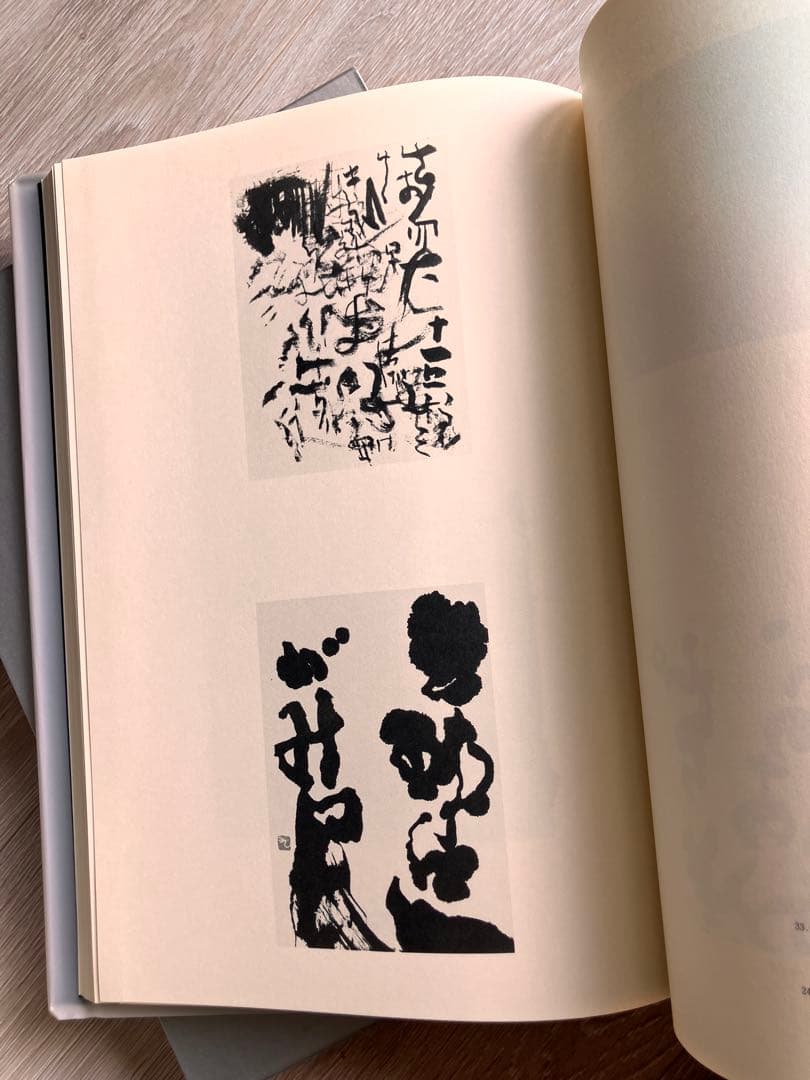 石川九楊作品集「しかし」