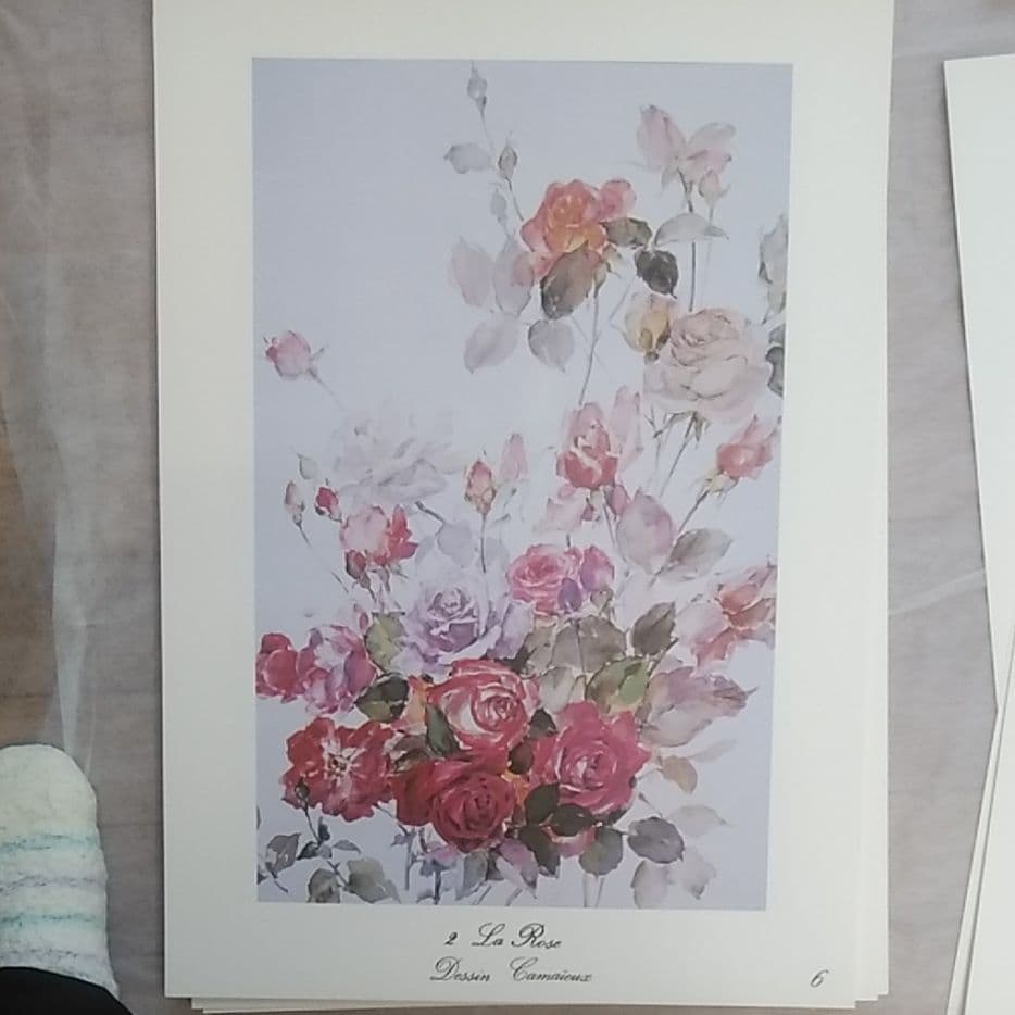ＤＥＳＳＩＮＥＲ　ＤＥＳ　ＦＬＥＵＲＳ（花を描きます）