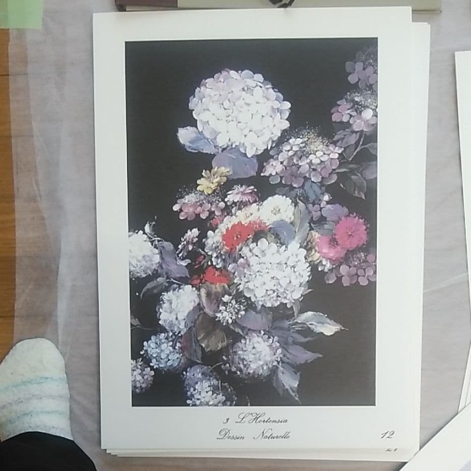 ＤＥＳＳＩＮＥＲ　ＤＥＳ　ＦＬＥＵＲＳ（花を描きます）