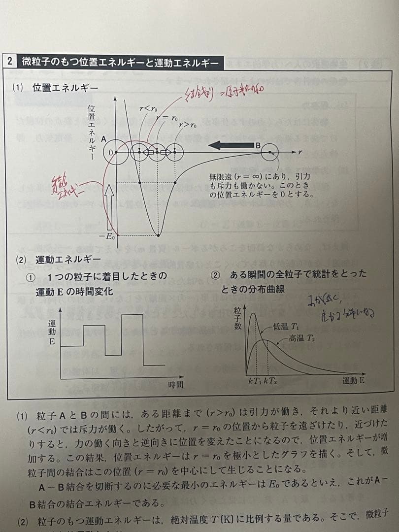 東大特進 東大化学 2026年度受験用 1年分全て