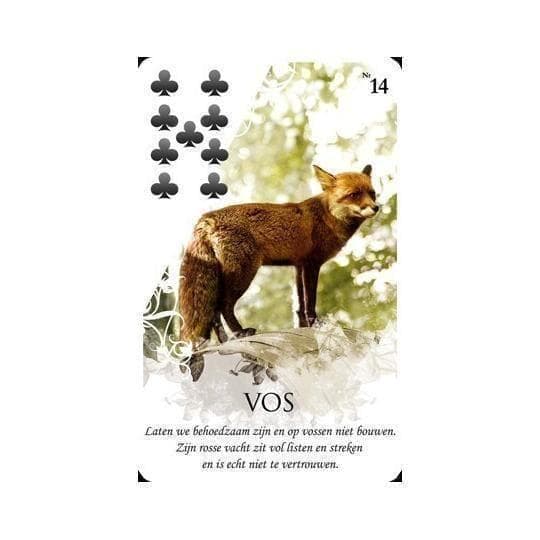 【正規品ルノルマンカード】入手困難 Viona's Lenormand ヴィオナ