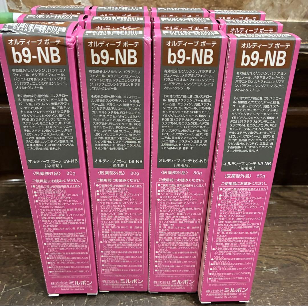 ORDEVE beauté b9-NB ニュートラルブラウン 12本セット