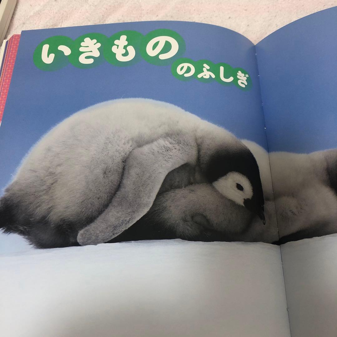 まだある！ふしぎの図鑑 プレNEO