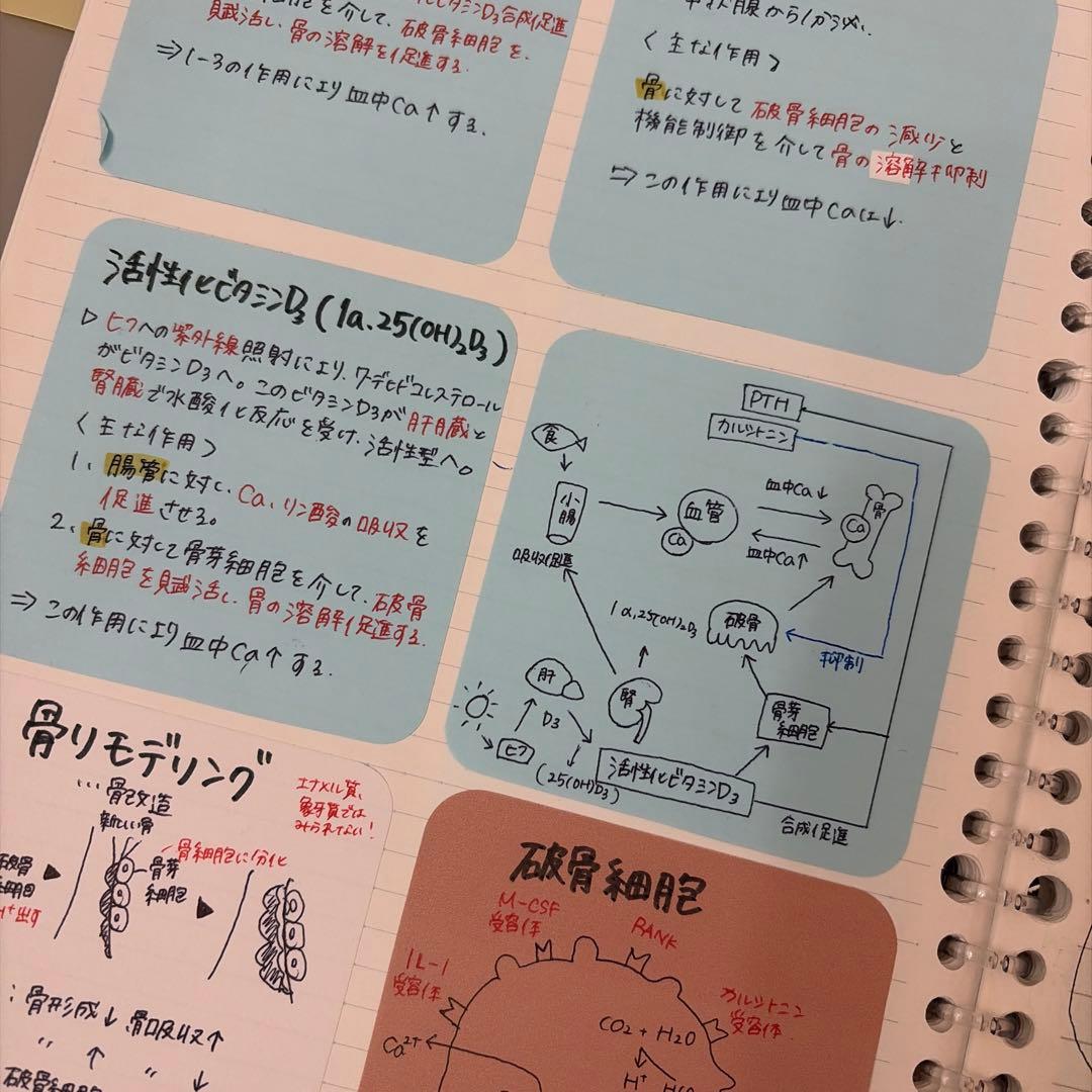 全科目　歯科衛生士　まとめ付箋ノート