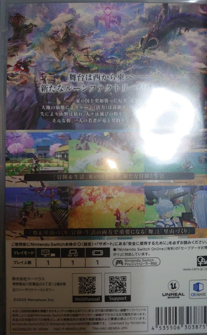龍の国 ルーンファクトリー