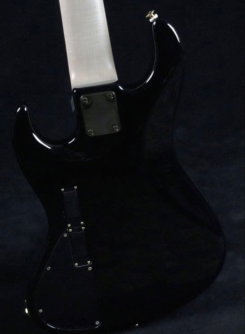 極美品‼️Wood Custom Guitars Vibe-5 ハードケース付